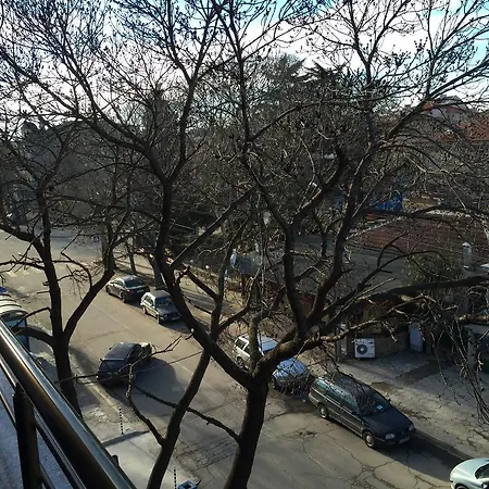 и студия кедъра Апартамент